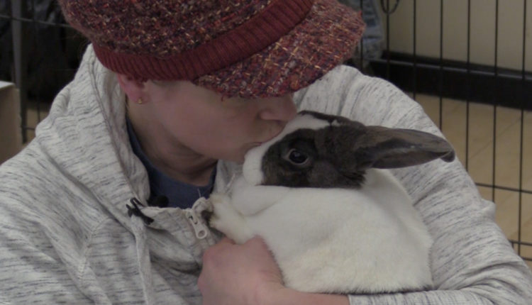 Screen Shot 2017-11-01 at 10.22.25 AM