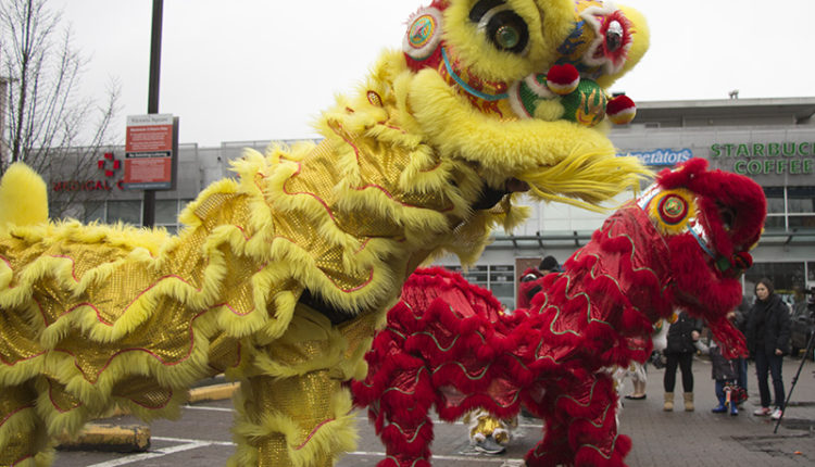 Lion-Dance7