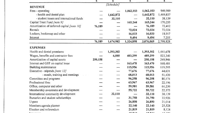 LSU financial records and minutes49