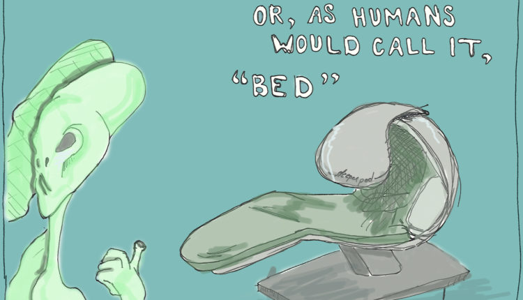 06-Illustration