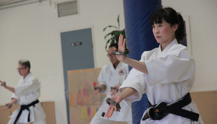 4-5-Kobudo-ClassTekko