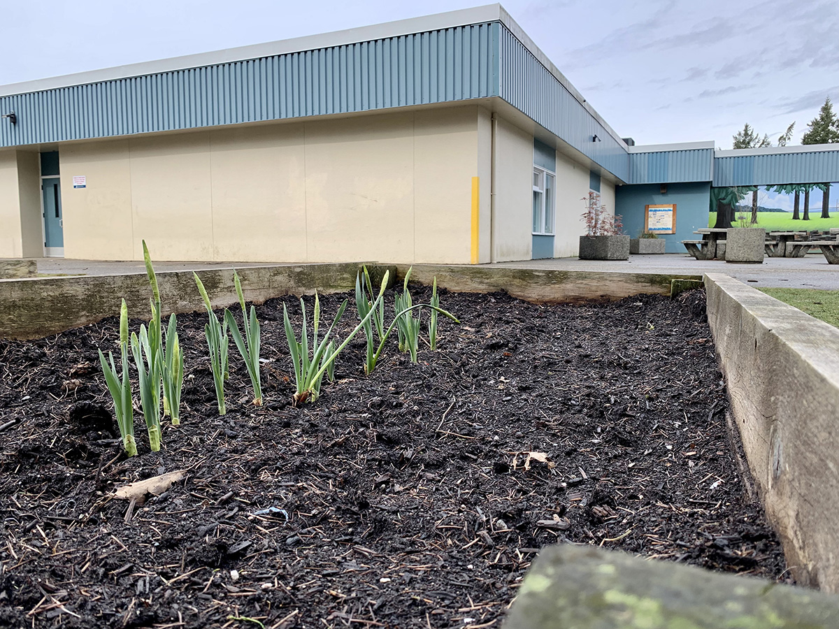 Brooke Elementary School in North Delta is one of eight schools involved in Schneider’s agricultural literacy project. Photo: Amir Khan