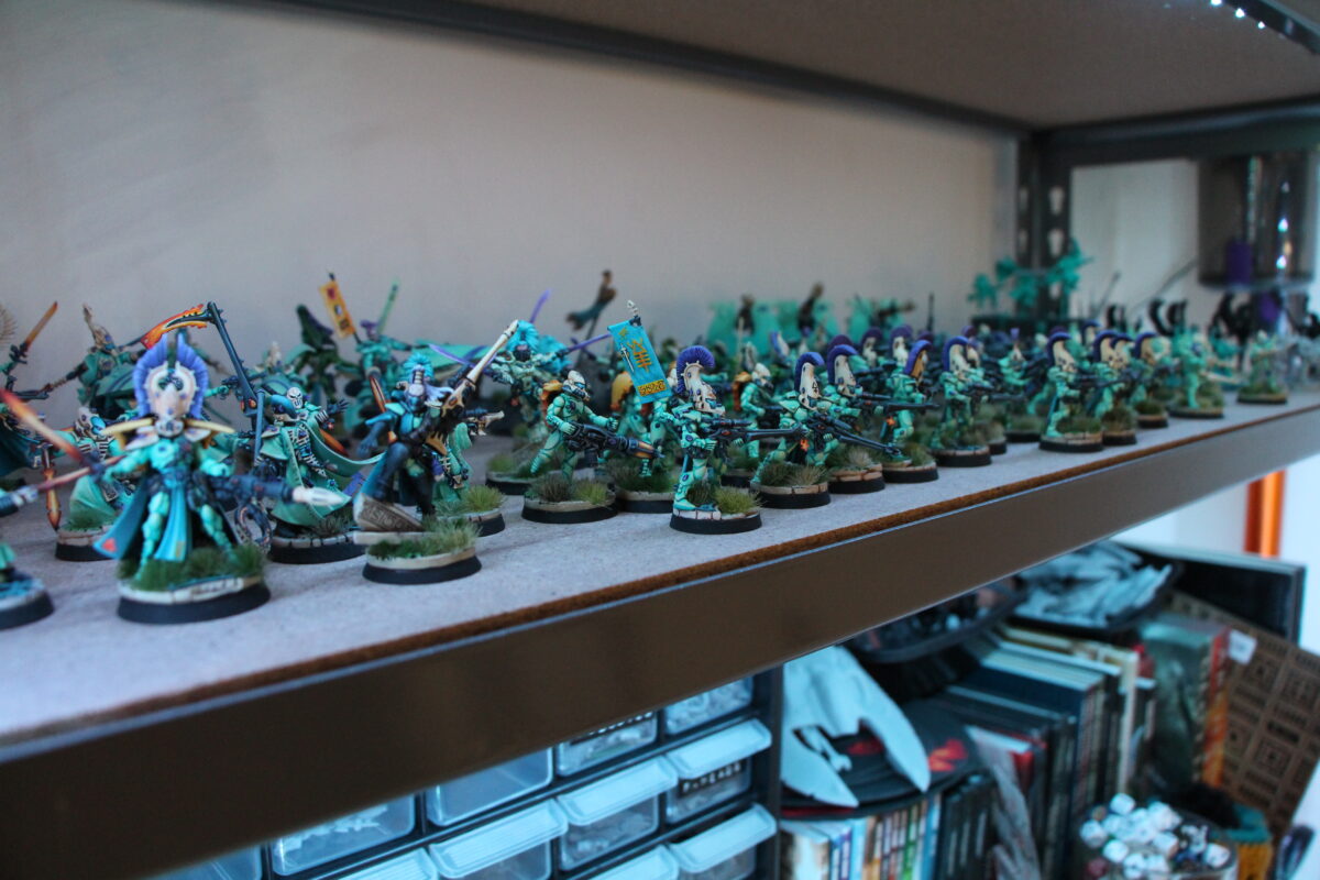 Jim Vesal's Aeldari army