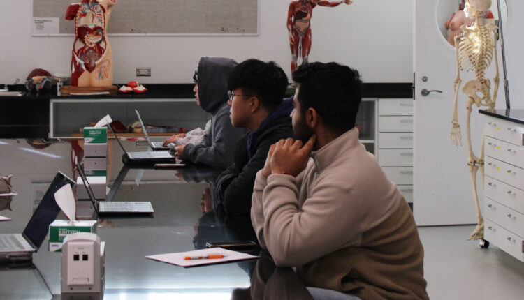 Three students sit at the table with their laptops in a classroom with skeletons and human anatomy dioramas in the background.